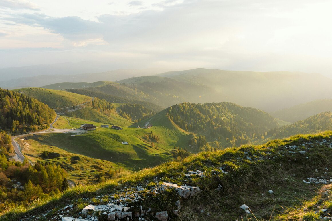 Weg mit natürlicher Abgrenzung in einer Landschaft